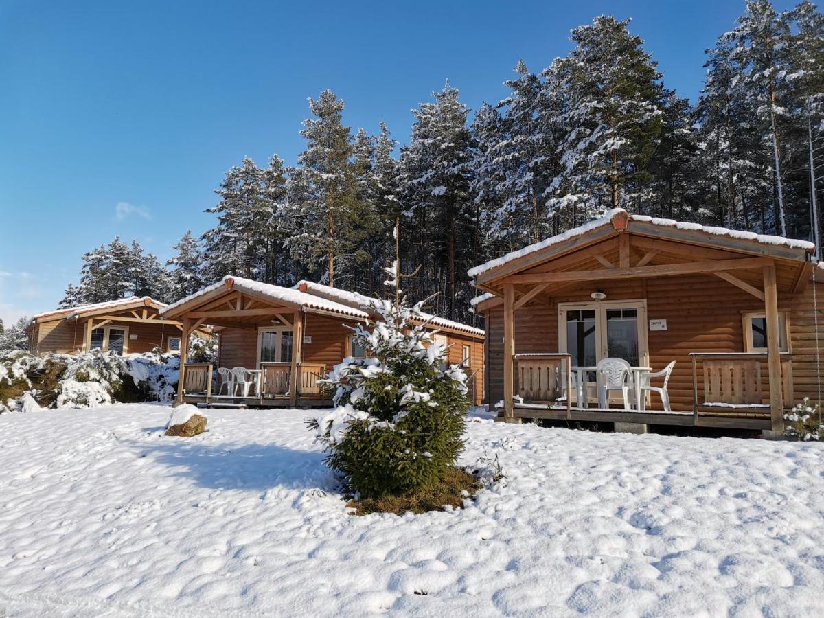 Les Chalets Du Haut-Forez Usson-en-Forez 외부 사진