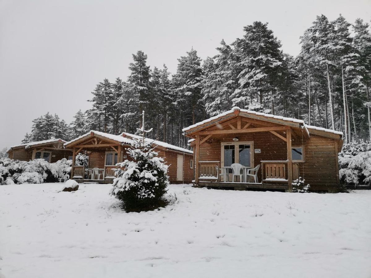 Les Chalets Du Haut-Forez Usson-en-Forez 외부 사진