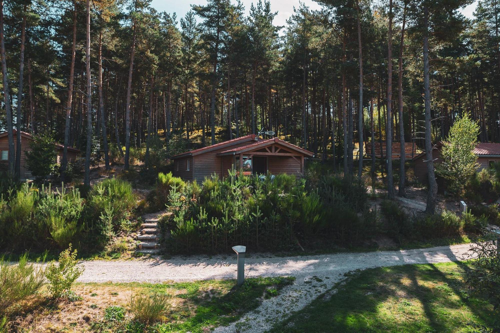 Les Chalets Du Haut-Forez Usson-en-Forez 외부 사진