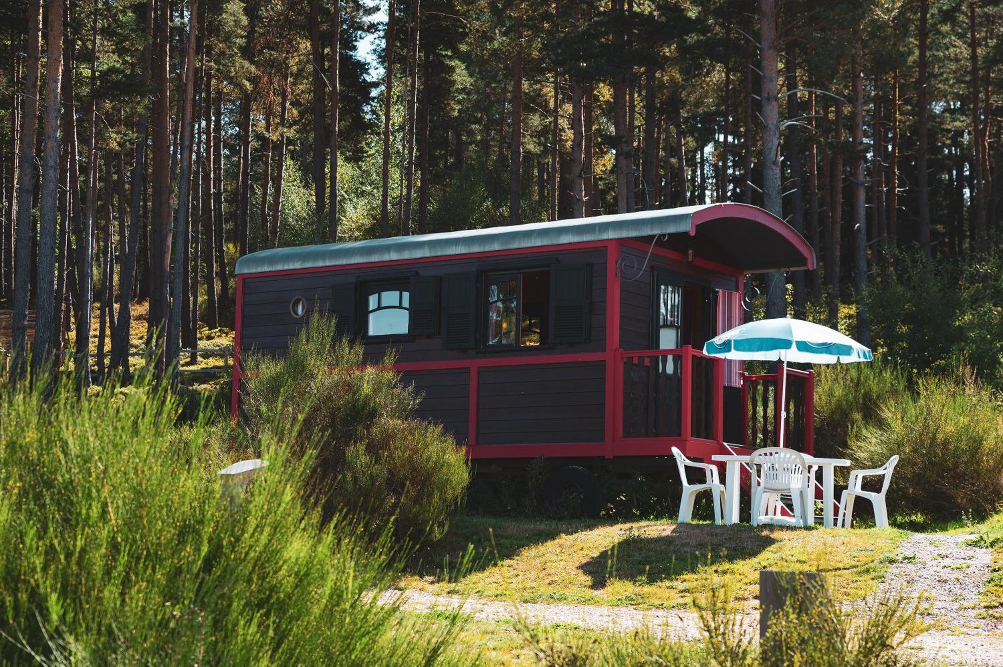 Les Chalets Du Haut-Forez Usson-en-Forez 외부 사진